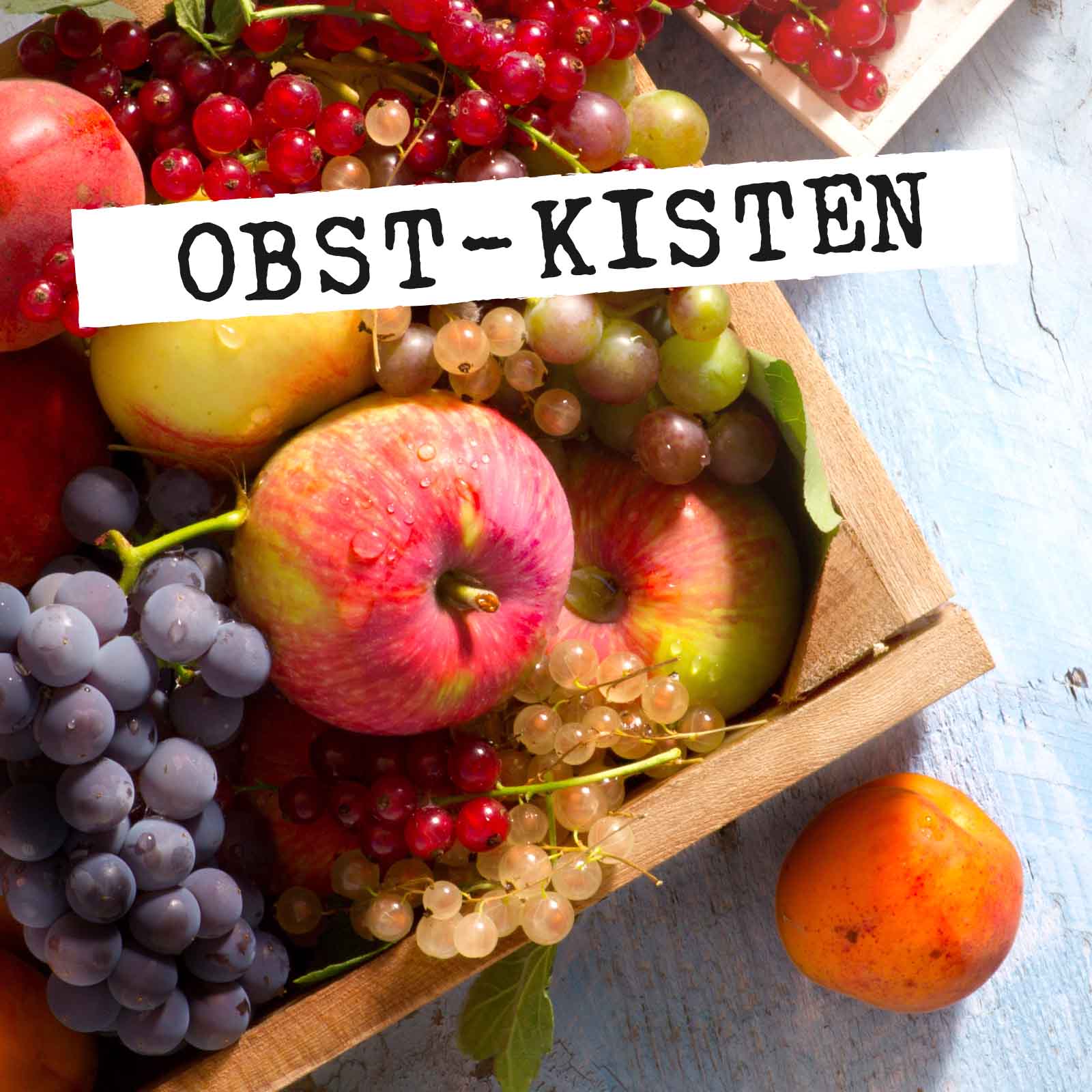 Probier-Kiste